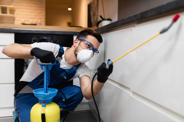 Best Affordable Pest Control Services  in Aledo, IL