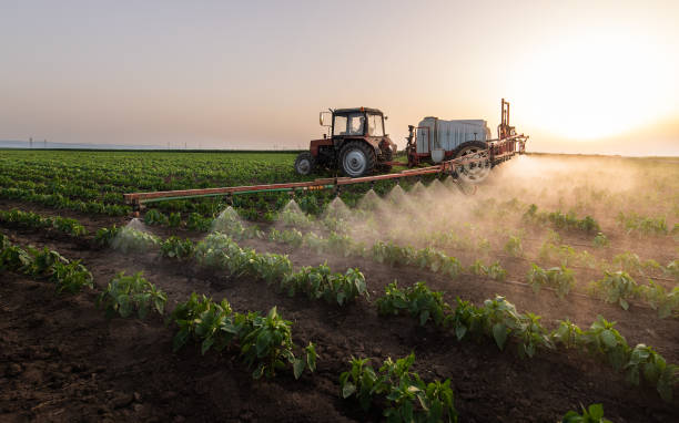 Best Pest Control Near Me  in Aledo, IL