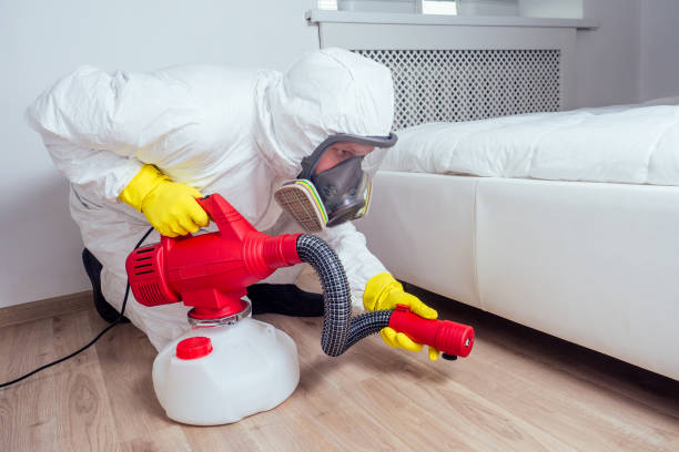 Best Wasp Removal Services  in Aledo, IL