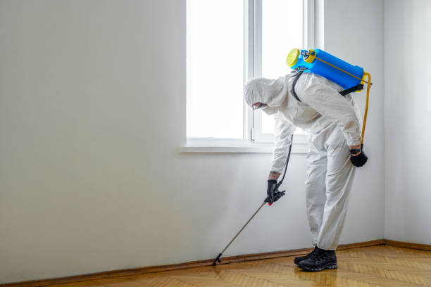 Best Wildlife Control Services  in Aledo, IL