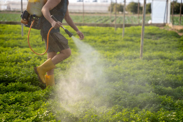 Reliable Aledo, IL Pest Control Solutions