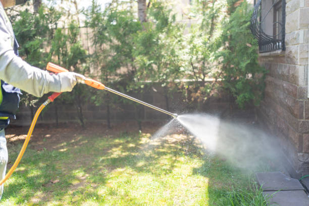 Best Wasp Removal Services  in Aledo, IL