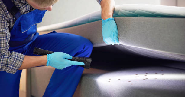 Best Cockroach Control Services  in Aledo, IL