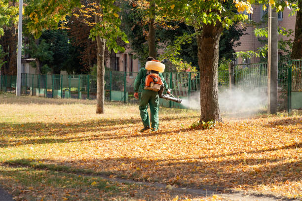 Best Residential Pest Control  in Aledo, IL