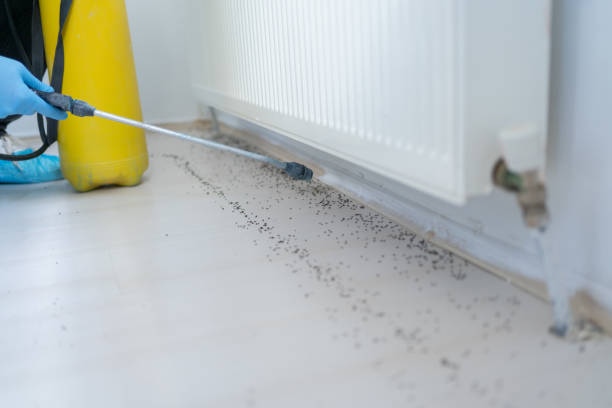  Aledo, IL Pest Control Pros